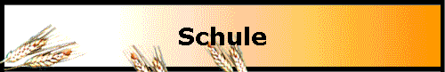  Schule 